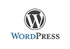 wordpress-2